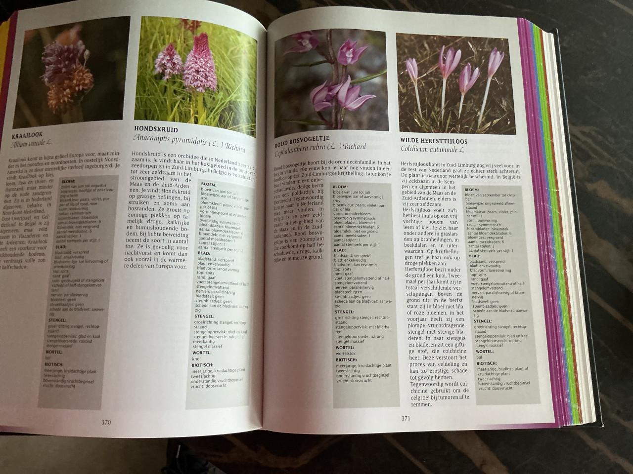 Flora van de lage landen