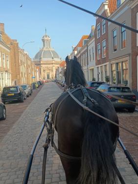 Menbewijs cursus enkelspan paard