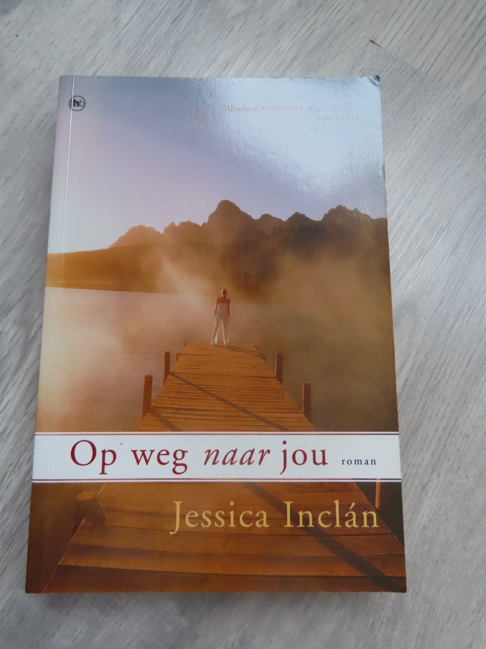 Diverse romans verschillende schrijvers