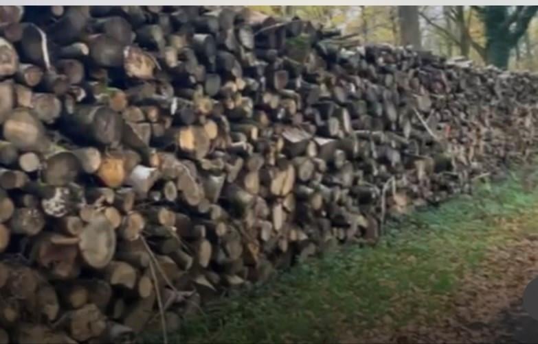 OPENHAARDHOUT/BRANDHOUT BOOMSTAMMEN AF TE HALEN!