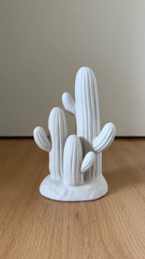 Decoratie Cactus