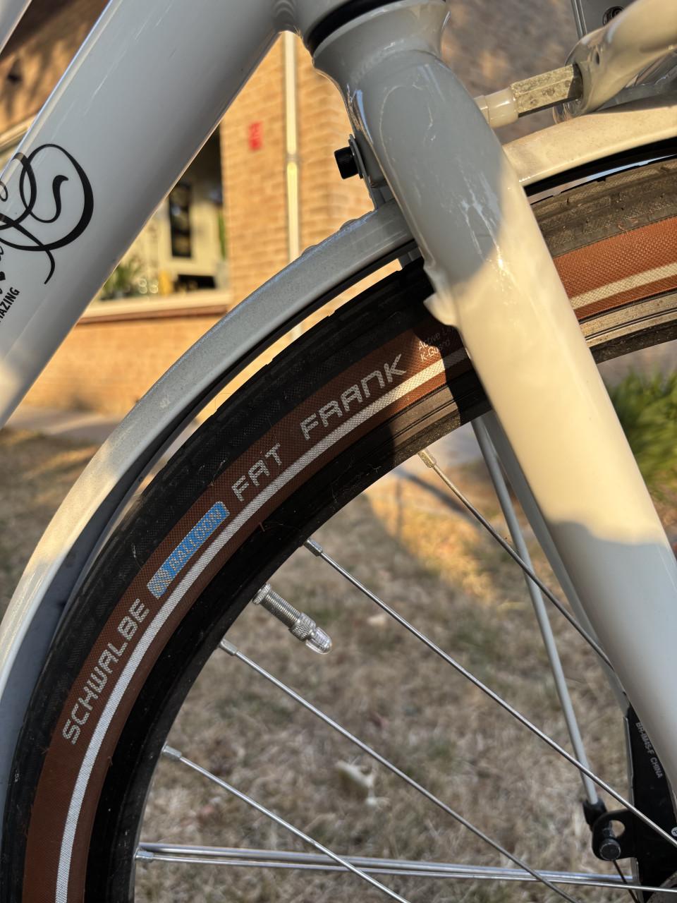 Solide Gazelle miss Grace