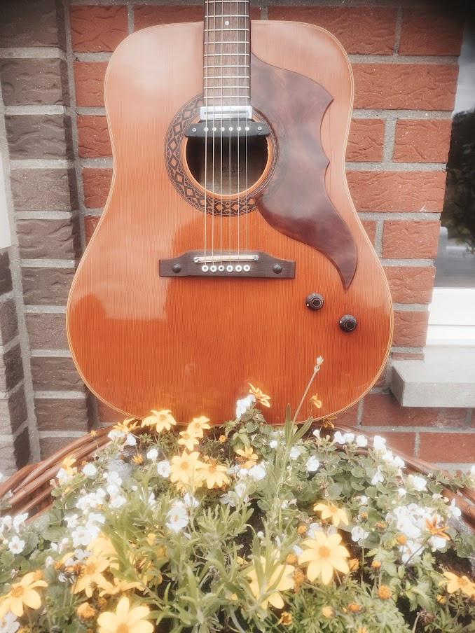 Vintage gitaar in topconditie.