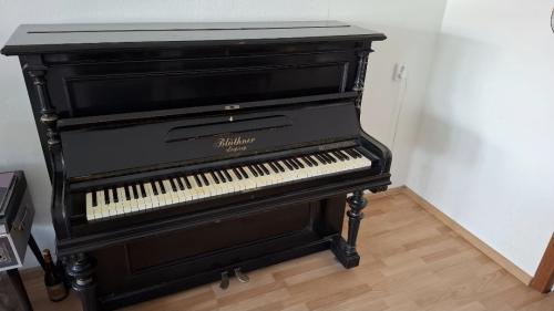 Julius Blüthner Piano
