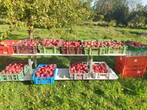 Fruit Appels en peren onbespoten