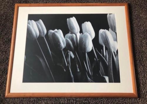 Prachtig ingelijst schilderij/fotoprint van tulpen in zwart-wit