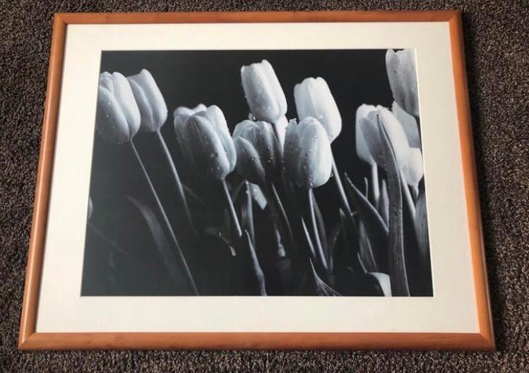 Prachtig ingelijst schilderij/fotoprint van tulpen in zwart-wit