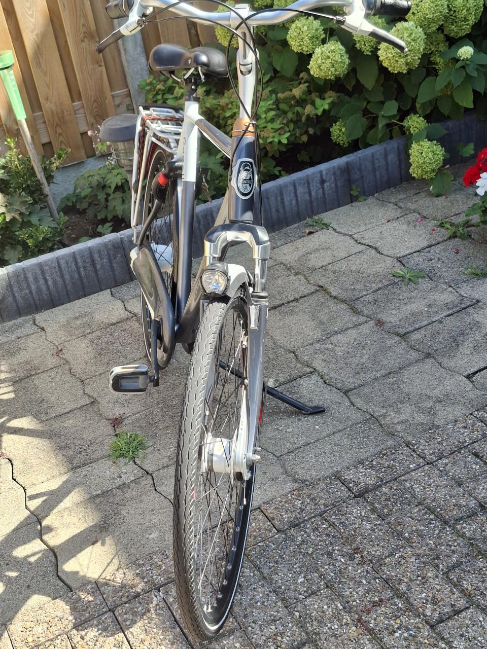 Gazelle Eclipse Limited Edition