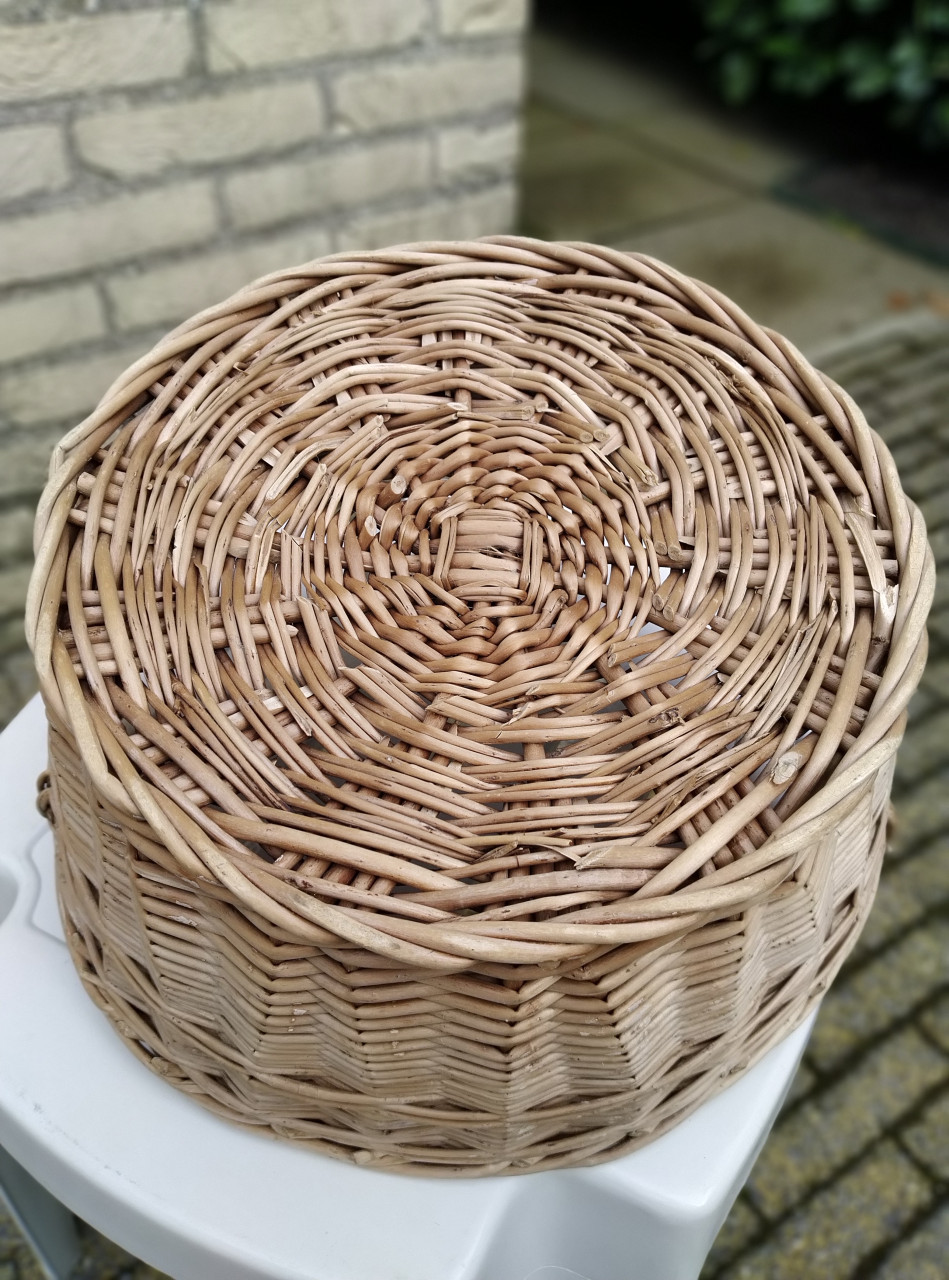 Wilgentenen mand