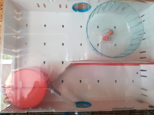 Hamsterkooi