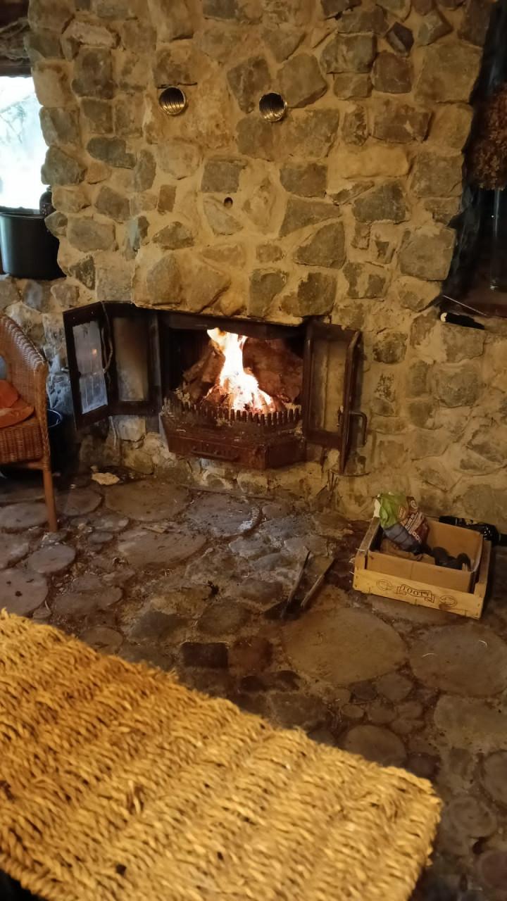 Wildplukwinterwandeling