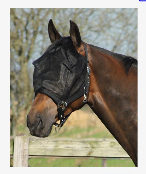 Vliegenmasker pony