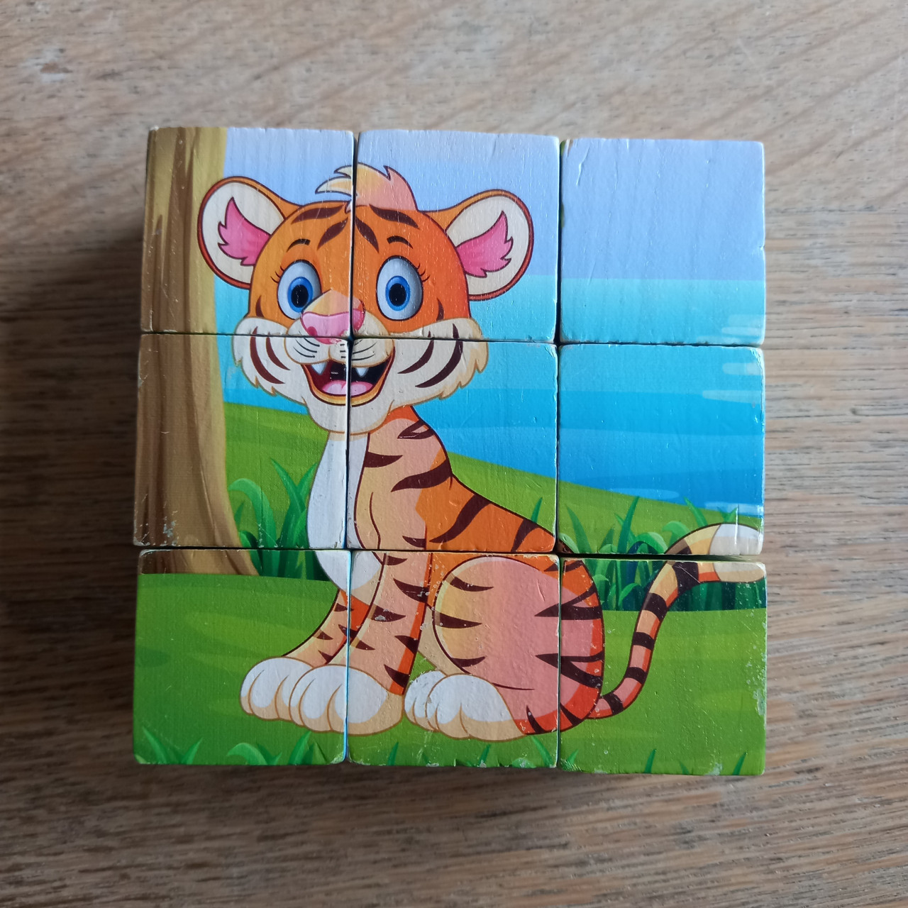 3 blokpuzzels met ieder 6 verschillende afbeeldingen