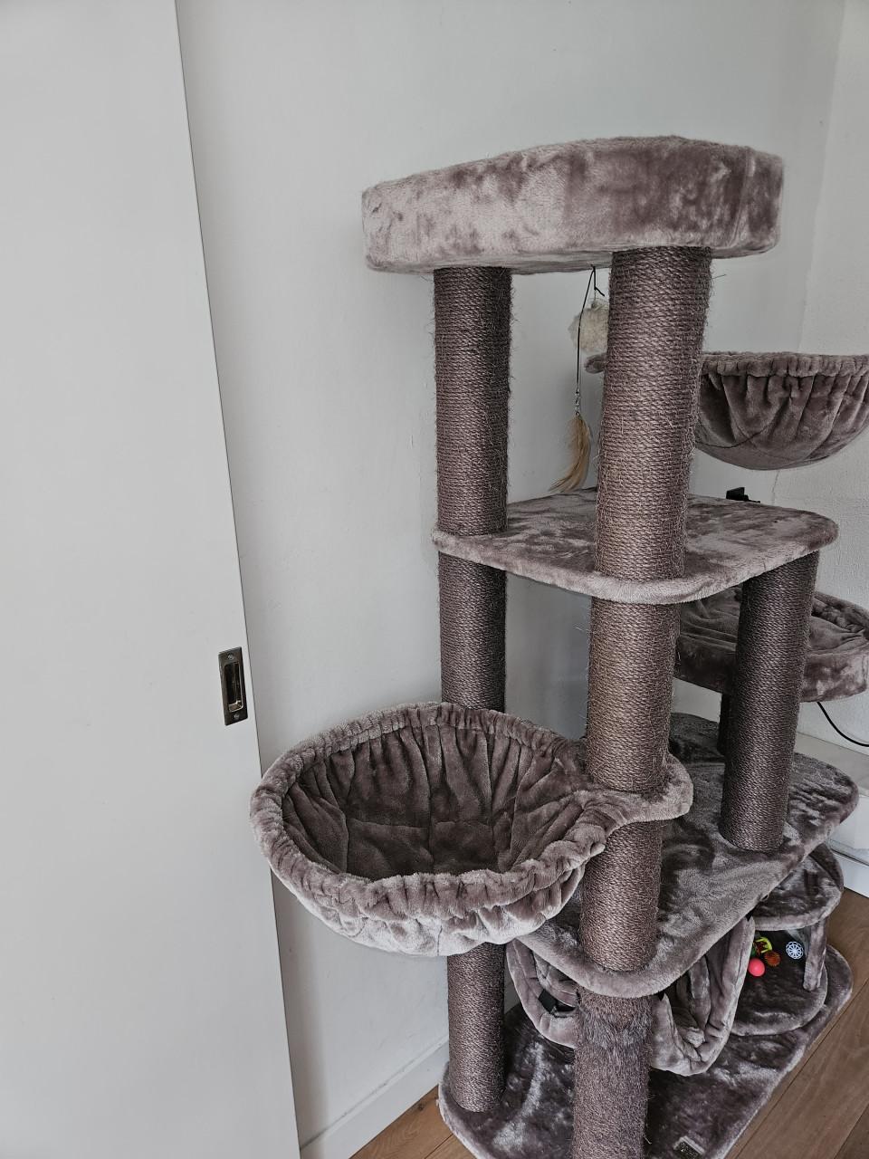 Katten krabtoren van Pet Rebels