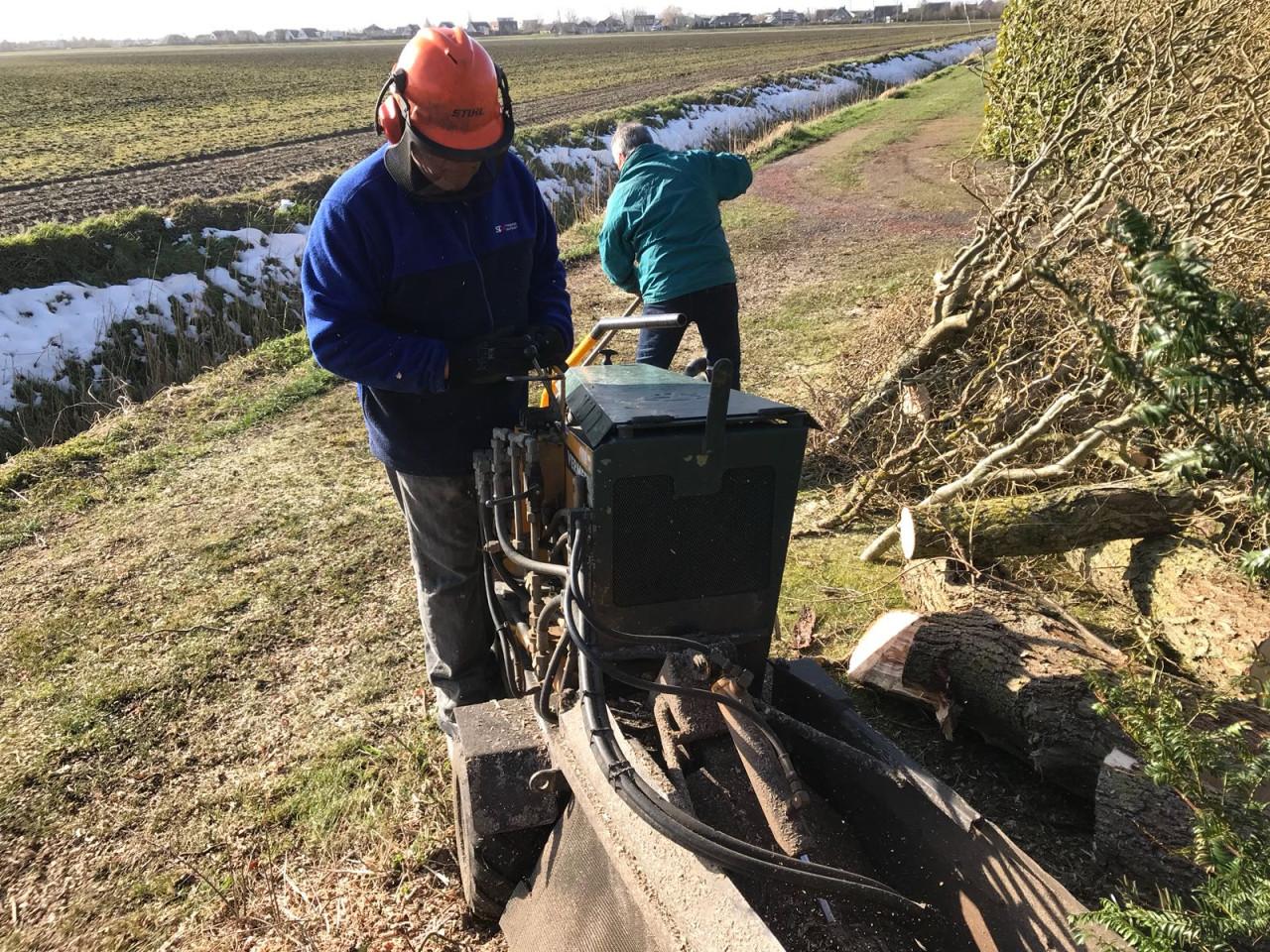 Een boomstronk in uw tuin laten verwijderen?