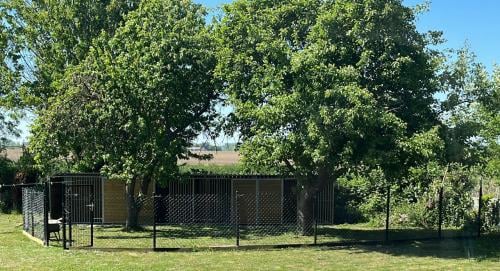 Honden logeerplek/pension/opvang