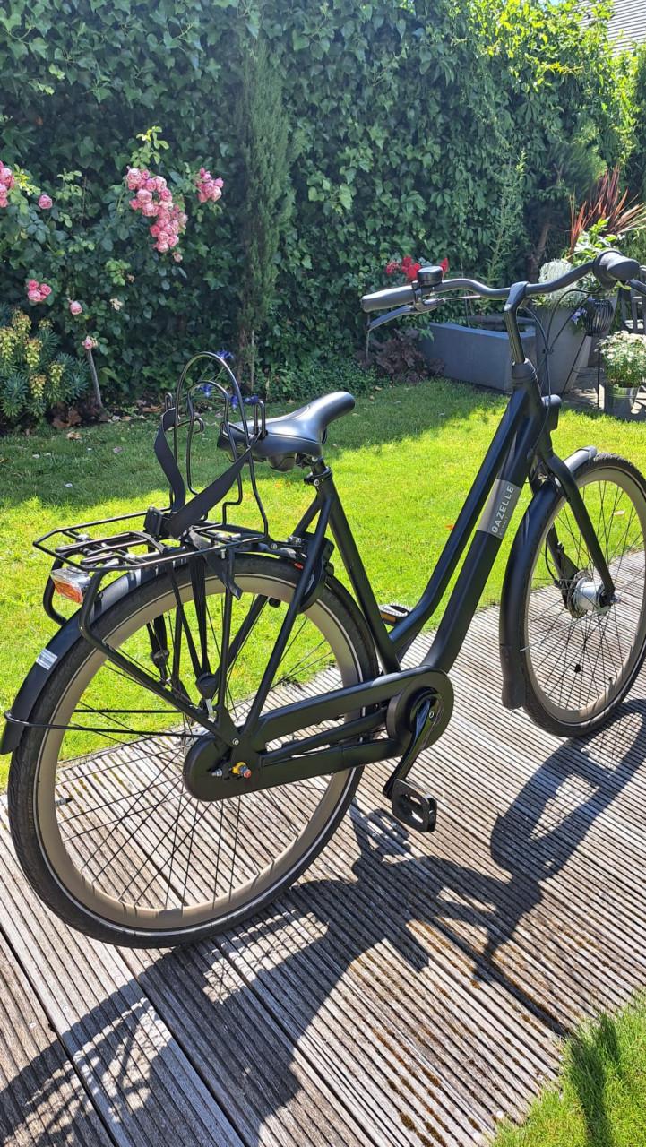 Gazelle Esprit Black mat mt 54