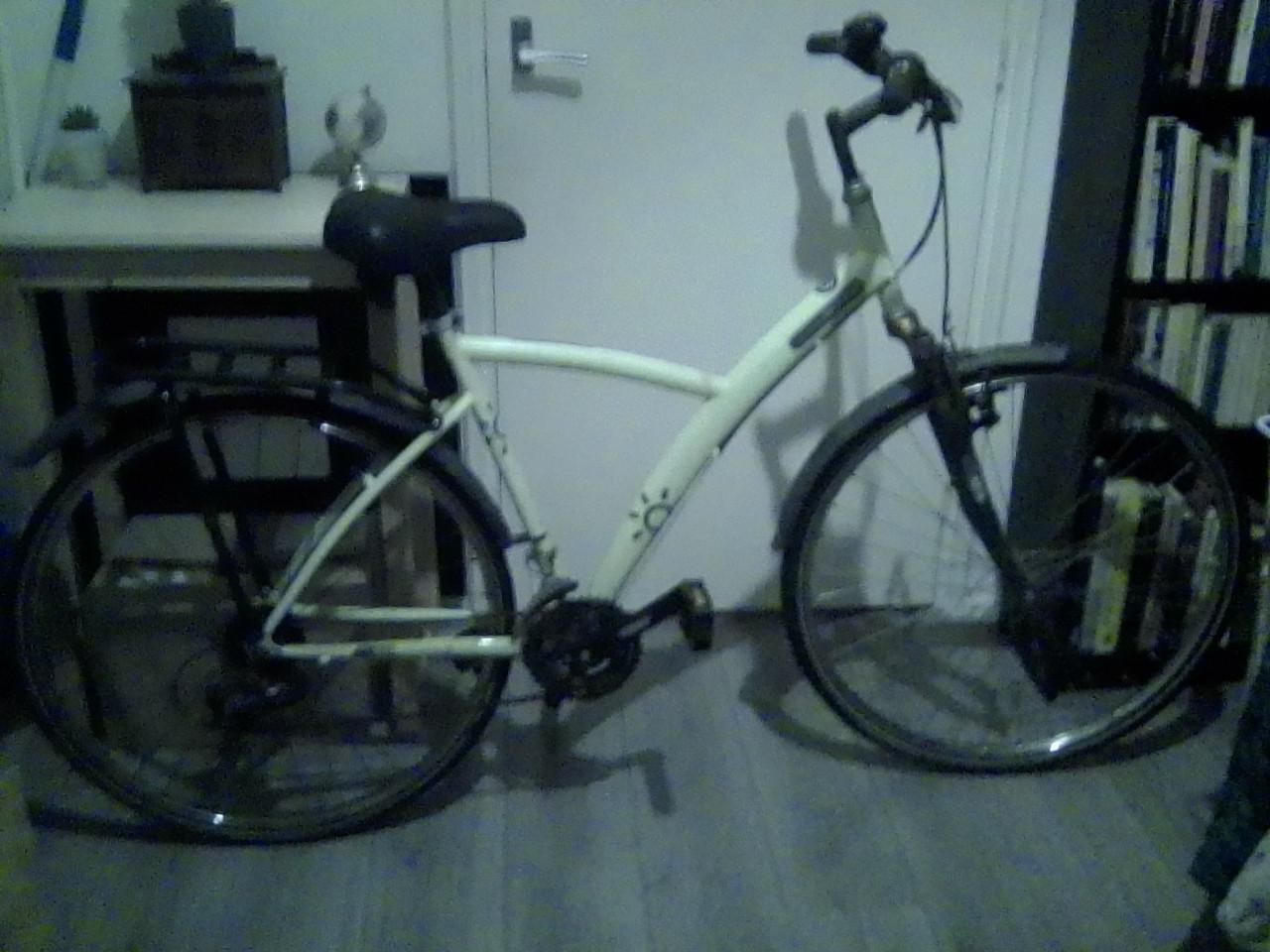 Opknapmeidenfiets, op te halen voor €15