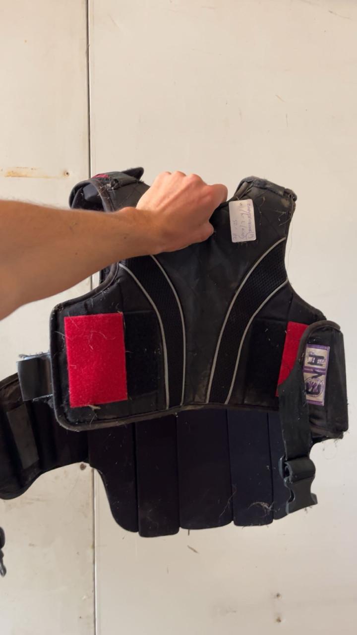 Bodyprotector