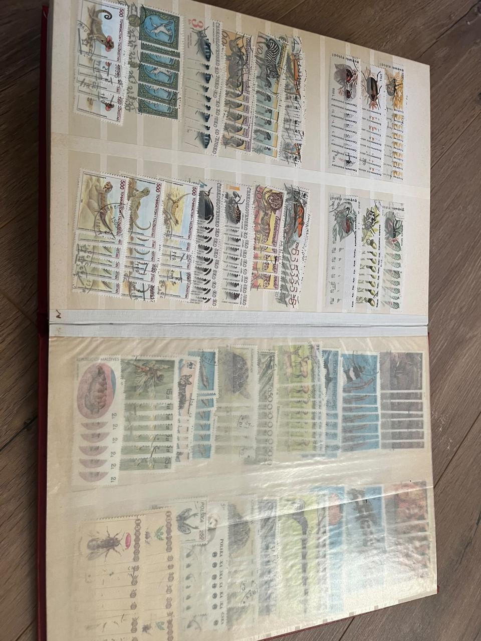 Dik album met motief dieren/fauna