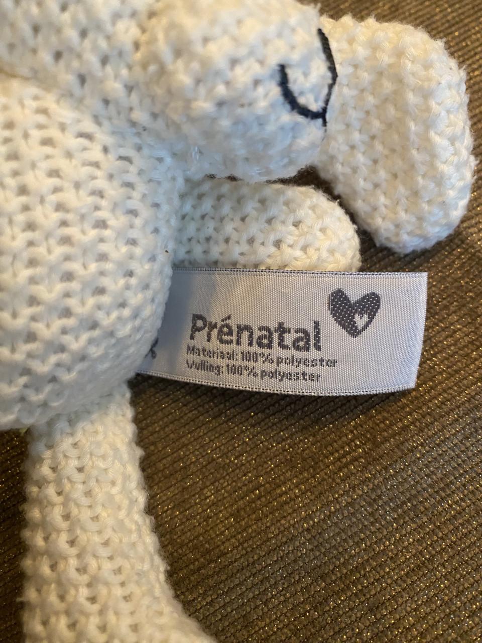 Hangspeeltje Prenatal