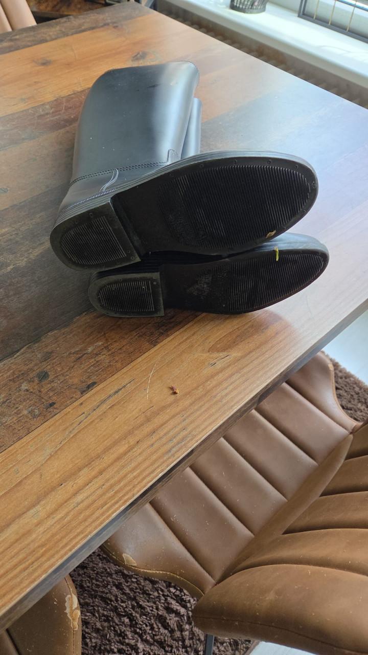 Paardtij kleding en laarzen