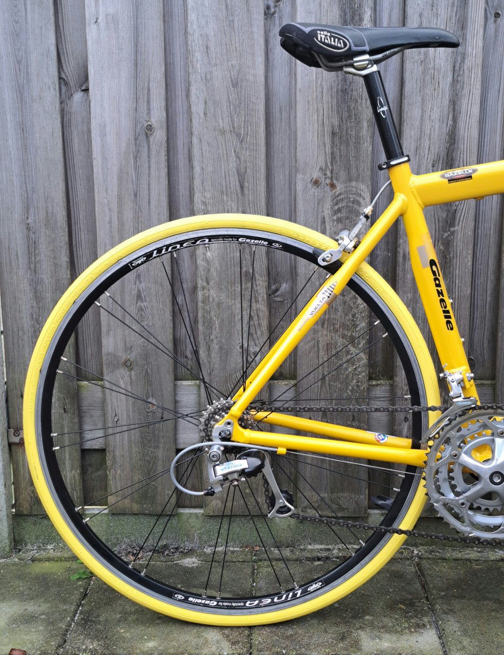 GAZELLE VUELTA