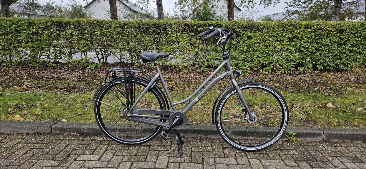 Cortina Roots Damesfiets 55 cm