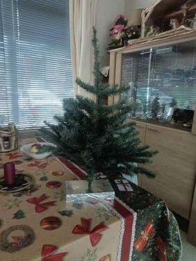 Kleine kerstboom met zilveren houten voet