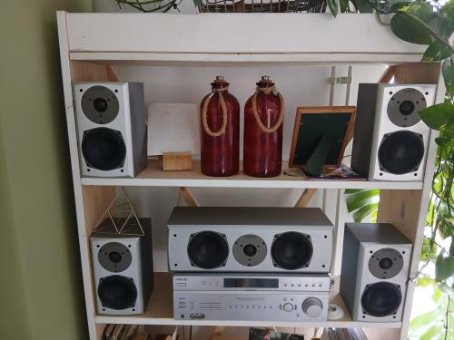 Magnat speakers