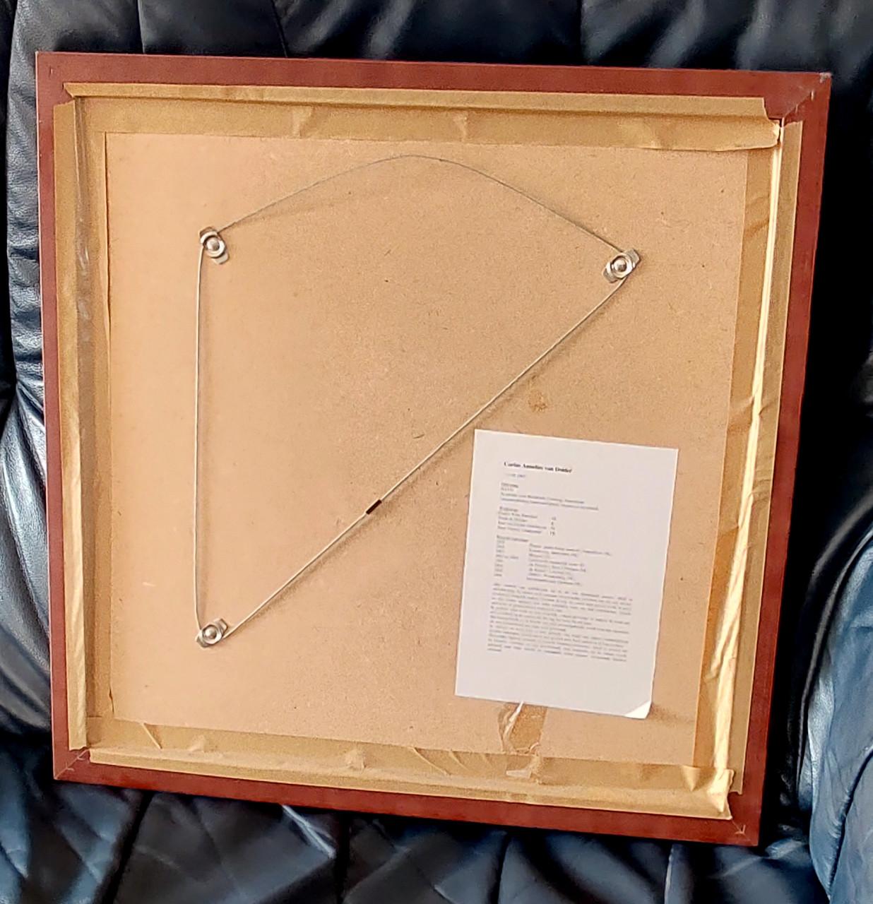 2 werken van Corine Annelies van Dolder.