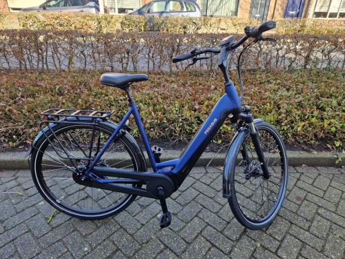 Schitterende Pegasus met Bosch Performance middenmotor