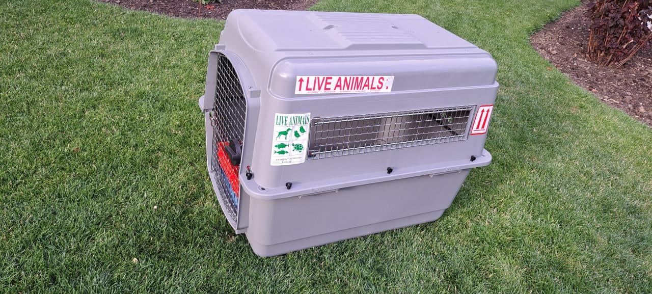 Te koop gevraagd Hondenbench voor vliegreis