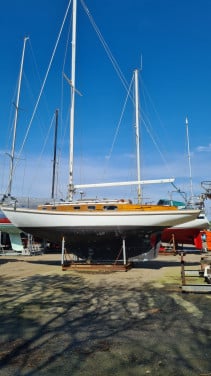 Frans Maas Breeon 37