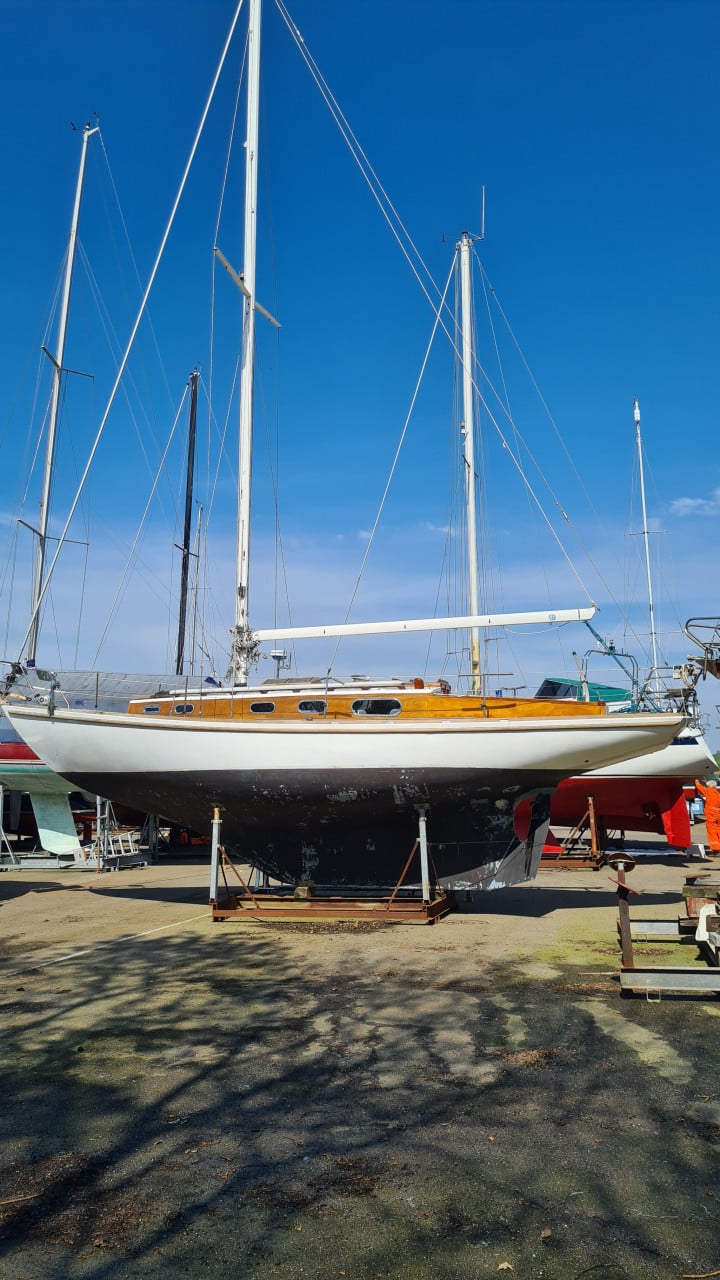 Frans Maas Breeon 37