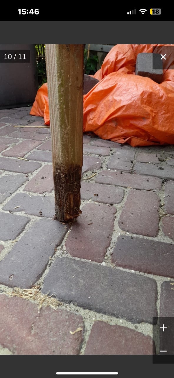 Konijnen of knaagdieren hok