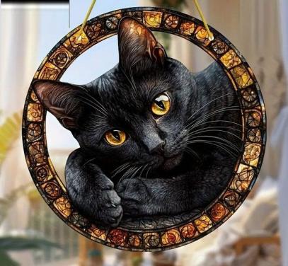 Raamhanger kat - poes