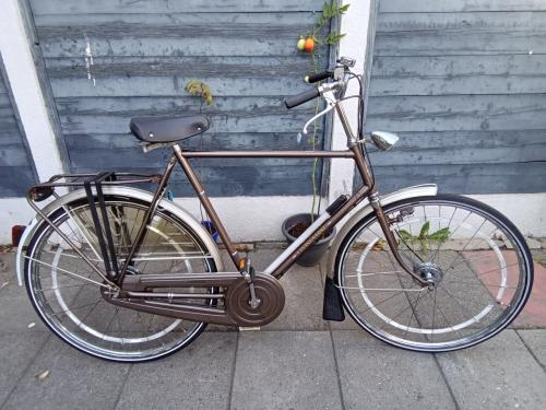 Gazelle Livingstone