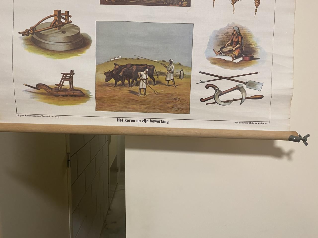 Schoolplaten