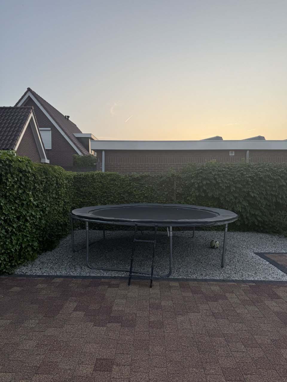 Trampoline