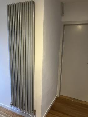 Verticale design radiator grijs
