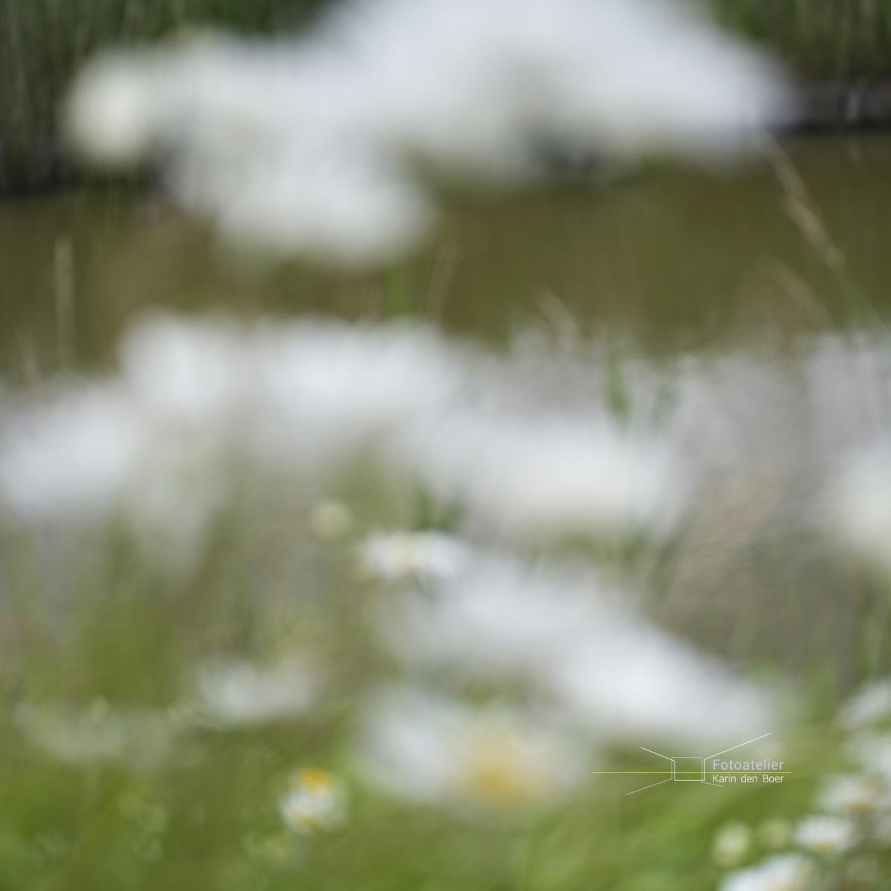 Lezing fotografie: Buiten de lijntjes