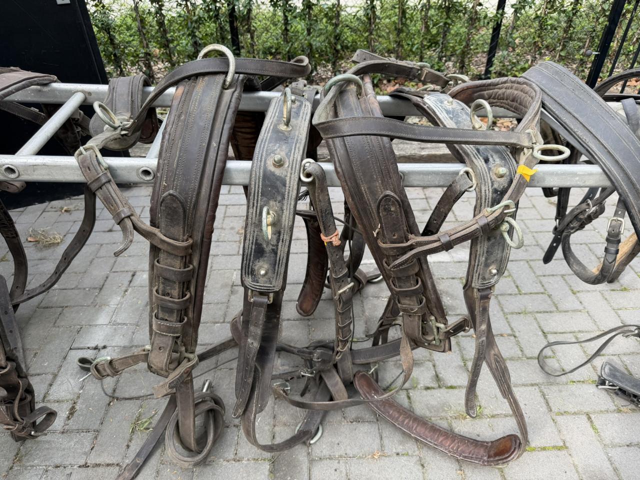 2x enkelspan ponytuig + enkel en tweespan paardentuig