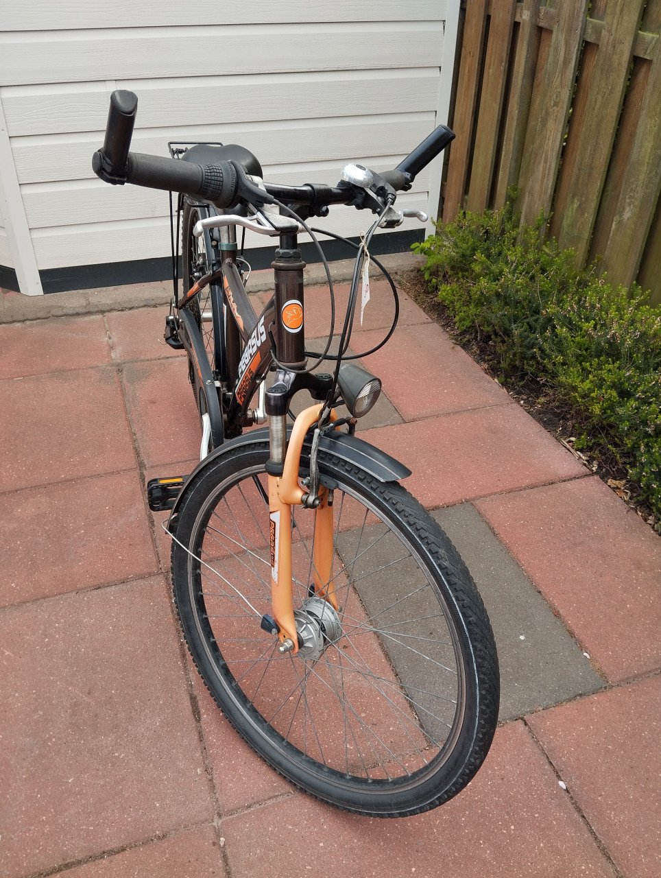 PEGASUS AVANTI 26 inch