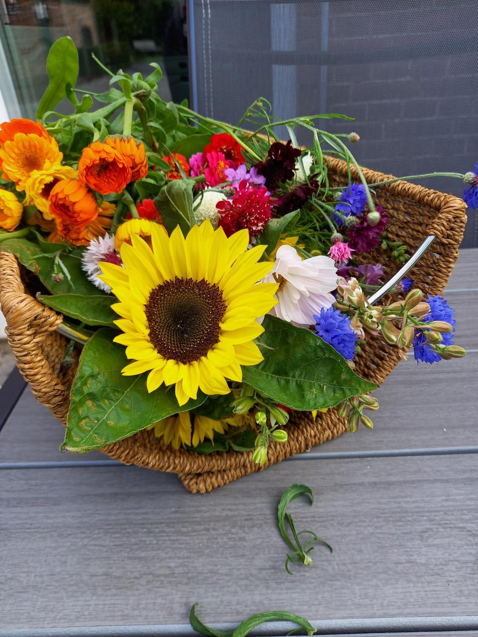 Een gezellig én voordelig uitje tussen de bloemen!