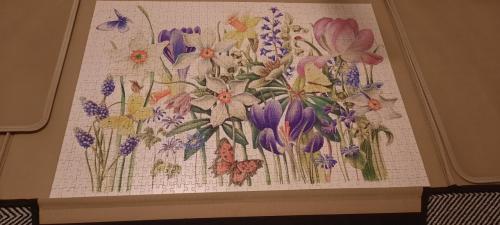 2x 1000 puzzel Janneke Brinkman Salentijn