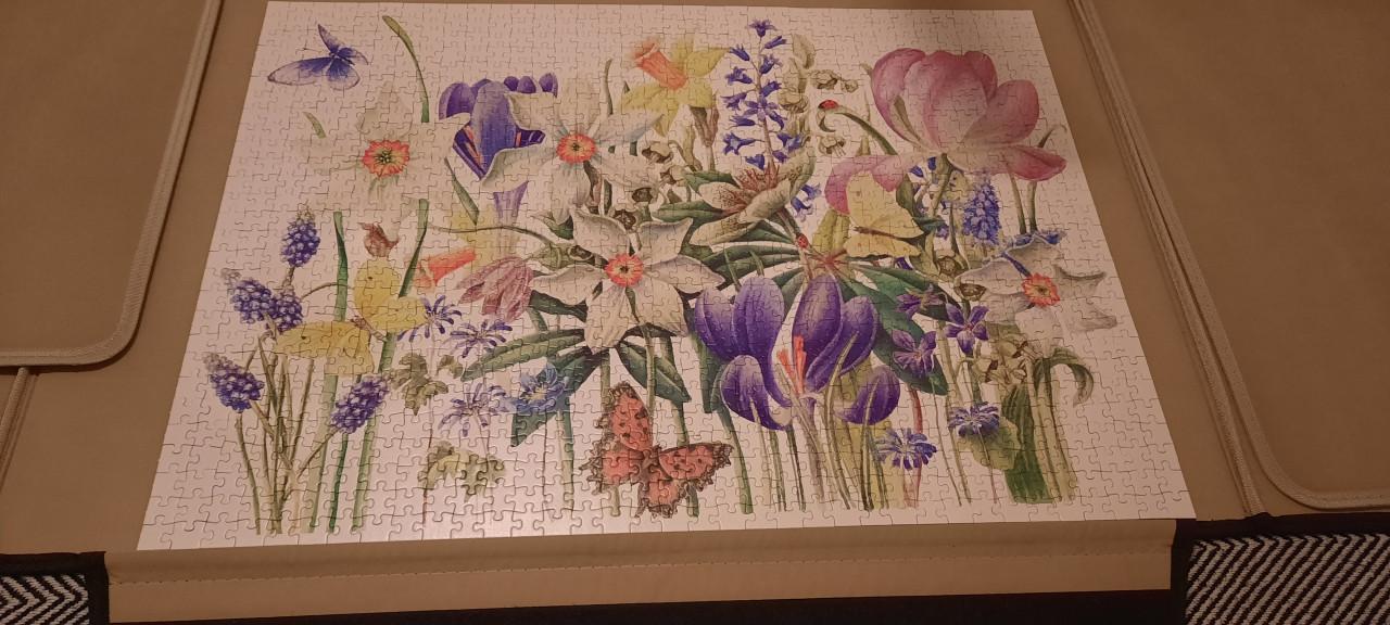 2x 1000 puzzel Janneke Brinkman Salentijn