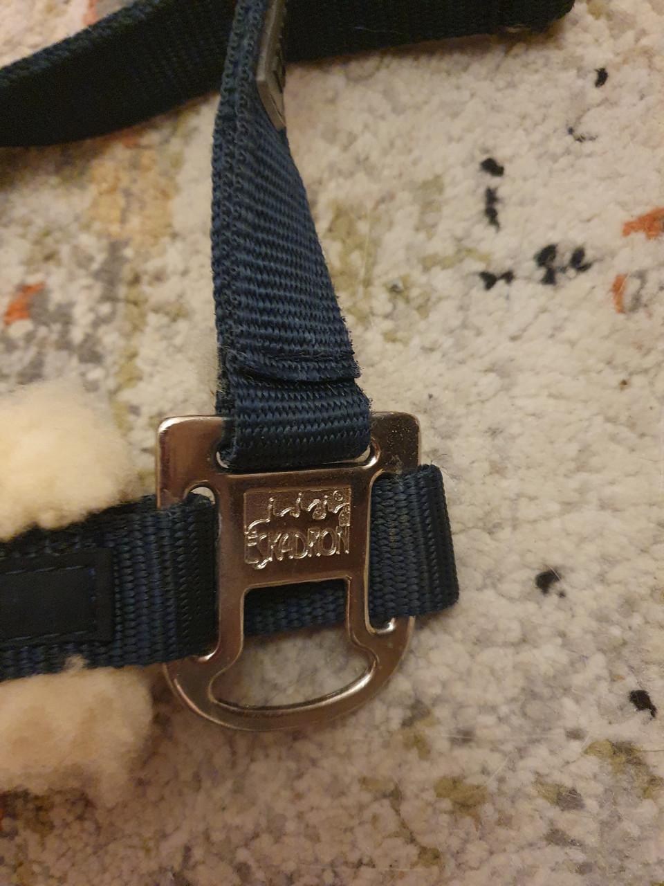 Eskadron halster NIEUW FULL