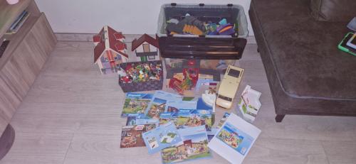 Grote partij Playmobil