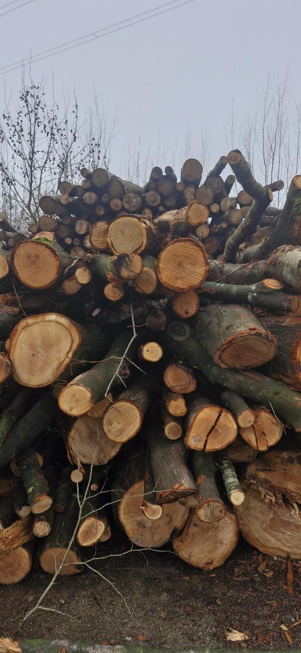 DROOG Haardhout, Eik, Beuk, Es mix! Lengte 30cm, gezaagd, gekliefd!